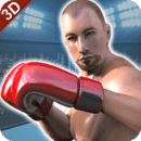 真正的打拳击冠军3D：MMA格斗2k18