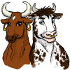 Bulls & Cows - Code Cracker Game