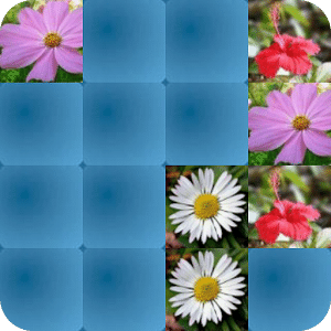 MemGame 04 - Flowers
