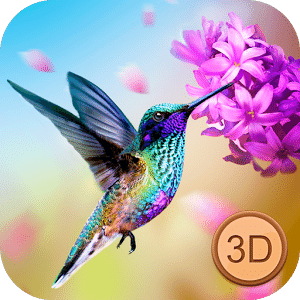 Humming Bird Simulator - Tiny Bird Adventure