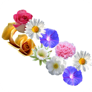 Fun flowers puzzle