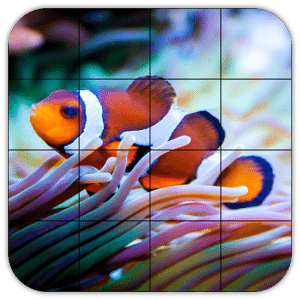 Tile Puzzles · Corals