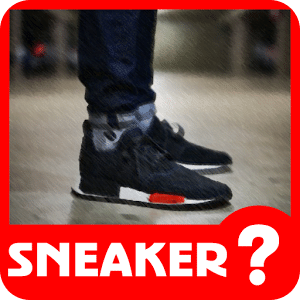 Guess Sneaker Trivia Quiz