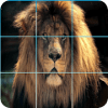 Hunting Animal Slider Puzzle