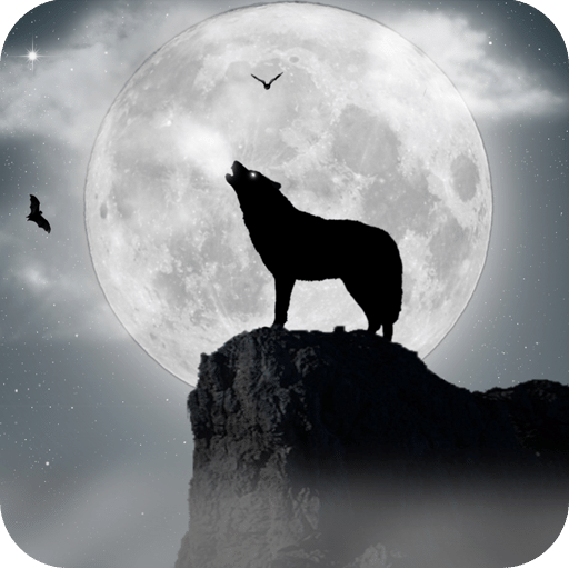狼和月球生活壁纸