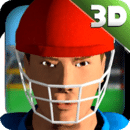3D模拟板球