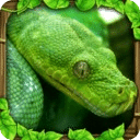 丛林蟒蛇模拟