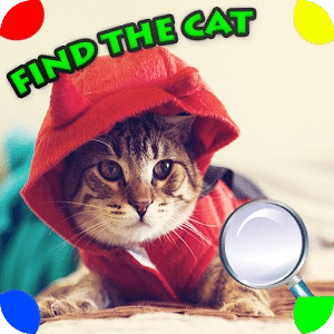 找猫 - 猫隐藏