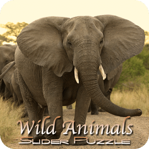 Wild Animals Slider Puzzle