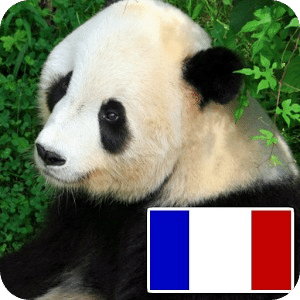 动物用法语
