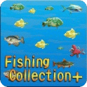 钓鱼收藏 釣魚收藏+
