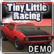 小小的赛车 Tiny Little Racing