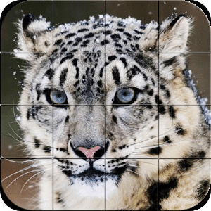 Puzzle - Wild animals