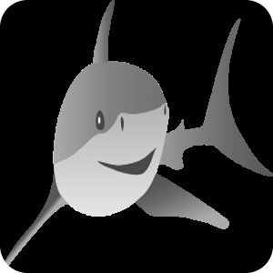 Shark Shark