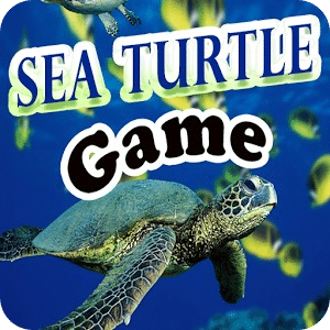 Sea Turtle Game