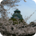 Osaka Castle