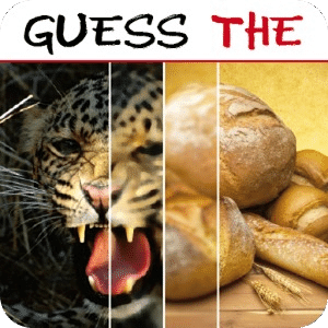 Guess The
