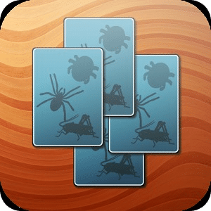 Invertebrate Bug Memory Game