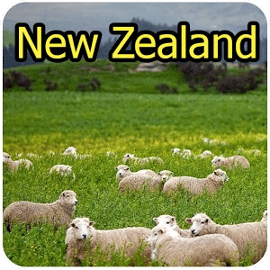 Find Difference New Zealand
