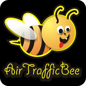 Air Traffic Flower Bee