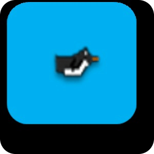 flap flap penguin