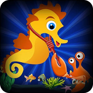 SeaHorse Rider