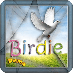 Birdie Demo