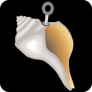 The Magic Conch Shell