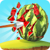 Fruit Shooter Archery Games 3D