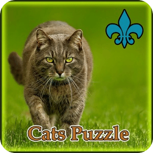 Cats Puzzle