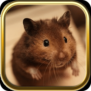 Free Hamster Puzzle Games