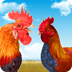 Rooster Race and Run Game