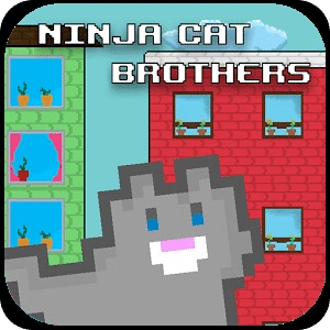 Ninja Cat Brothers