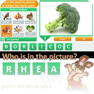 Guess the word by picture