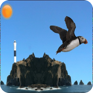 Flying Puffin