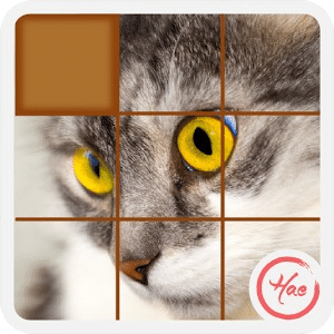 Puzzle Pet Cat