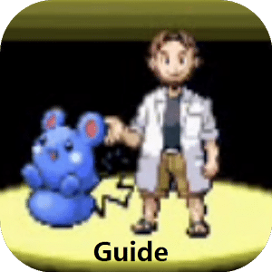 CODE For Pokemon Ruby(GBA)