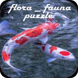 Flora Fauna Puzzle