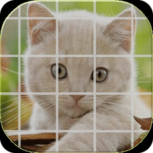 Tile Puzzle Cats (NoAds)