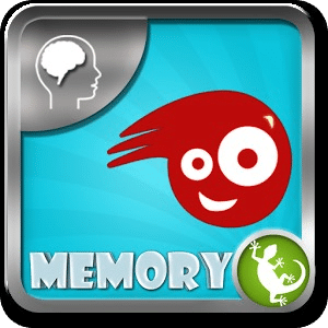 The Idiot Test - Memory