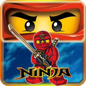 Ninjago Fighter Samurai Shadow