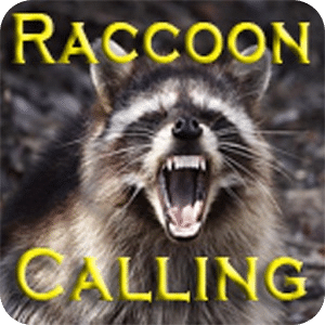 Raccoon Calling Pro