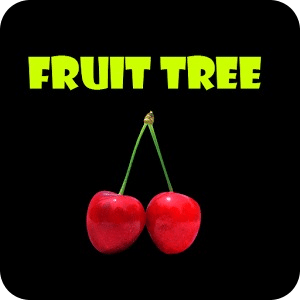 Fruit Three