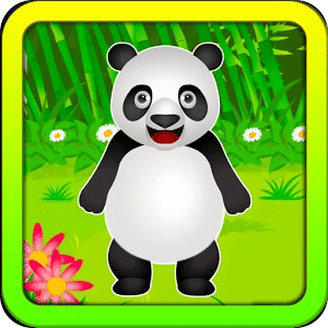 Pet Care Panda Animal