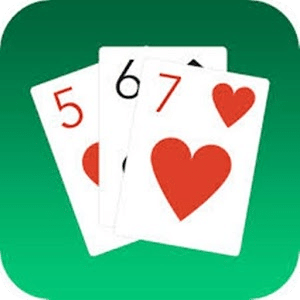 Pro Spider Solitaire free