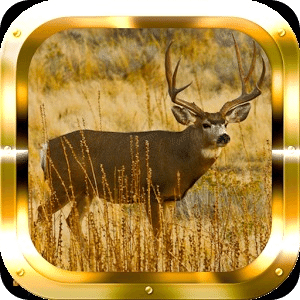 Deer Adventure HD