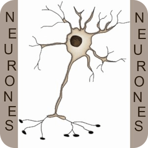 Astrocyte Gratuit