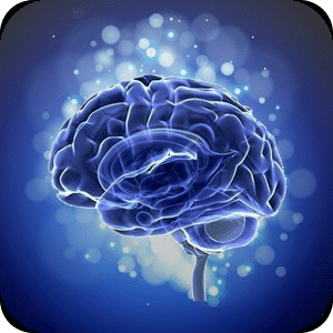 Brain Training Touch in Order