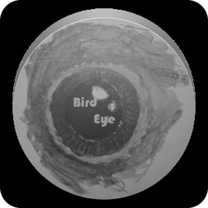 Bird Eye