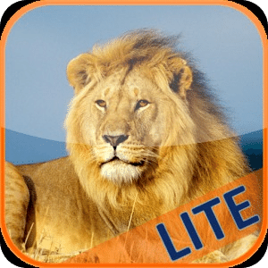 Africa Puzzles for kids (Lite)